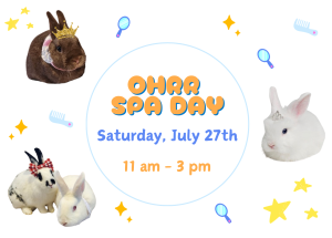 Read more about the article OHRR BUNNY SPA DAY! Saturday, July 27th
