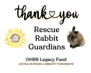 Read more about the article Thanks to Our Rescue Rabbit Guardians!