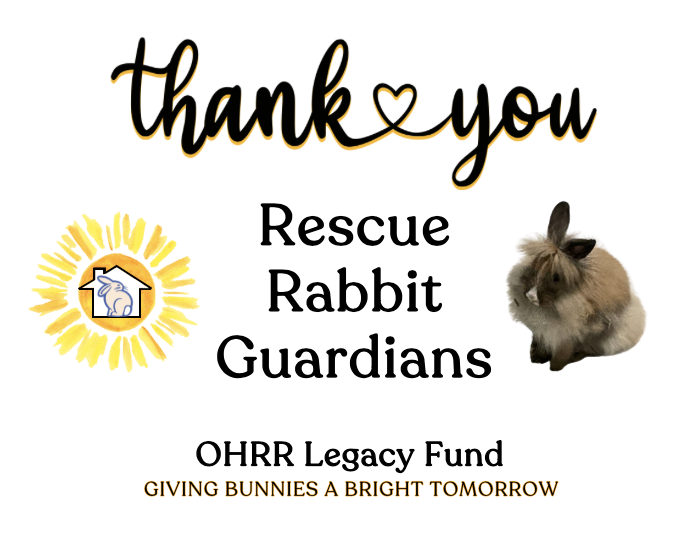 You are currently viewing Thanks to Our Rescue Rabbit Guardians!